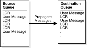 Description of Figure 1-3 follows