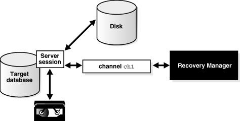 Description of 