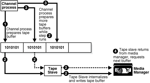 Description of 