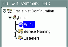 Description of the illustration netmgr_profile.gif follows