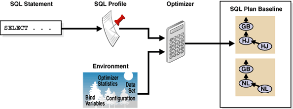 Description of 