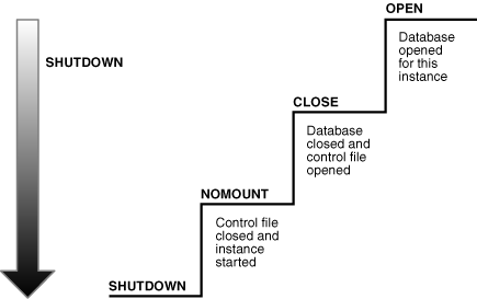 Description of Figure 13-4 follows Description of Figure 13-4 follows