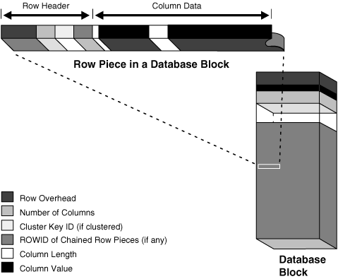 Description of Figure 13-8 follows