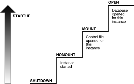 Description of Figure 14-3 follows