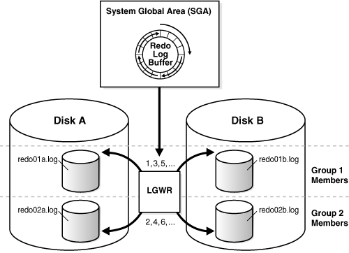 Description of Figure 13-8 follows