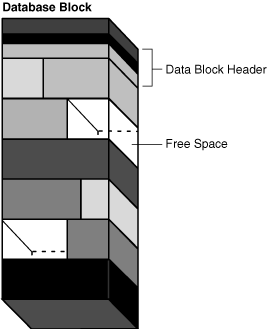 Description of Figure 15-11 follows