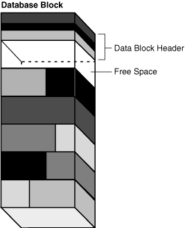 Description of Figure 15-12 follows
