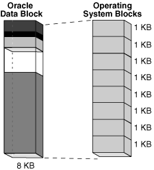 Description of Figure 15-6 follows