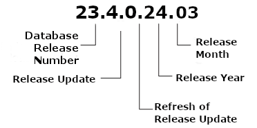 Description of Figure 1-1 follows Description of Figure 1-1 follows