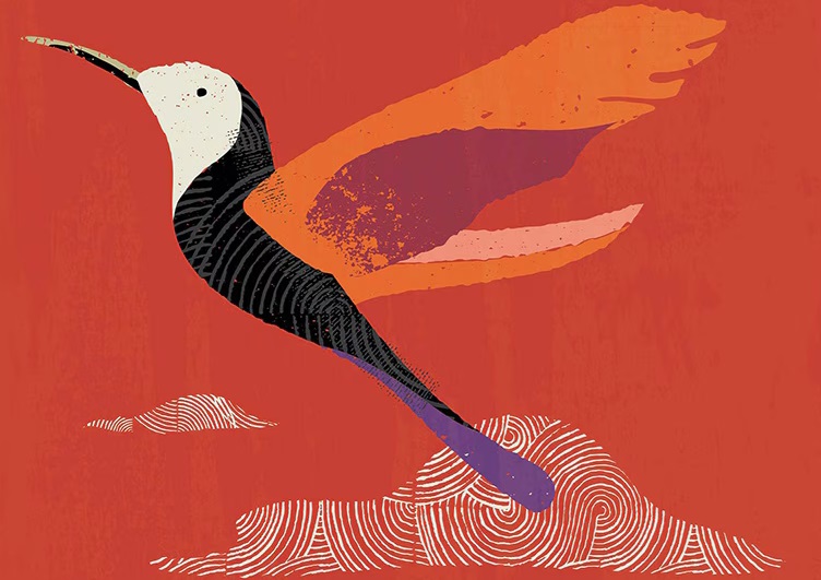 Description of bird.jpg follows